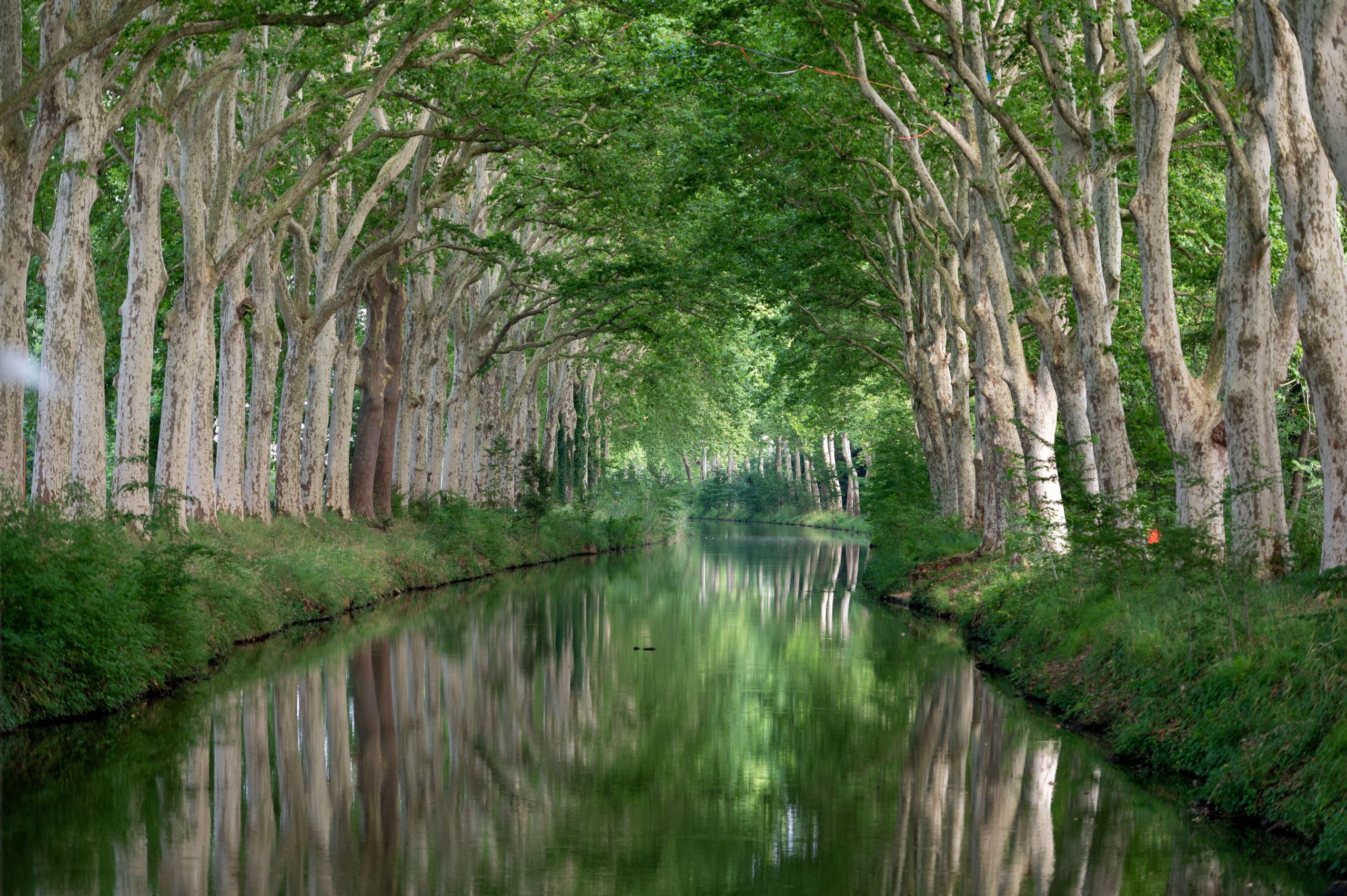 AXA et VNF dévoilent les Projets lauréats : 500 000€ investis pour la Biodiversité des Voies Fluviales