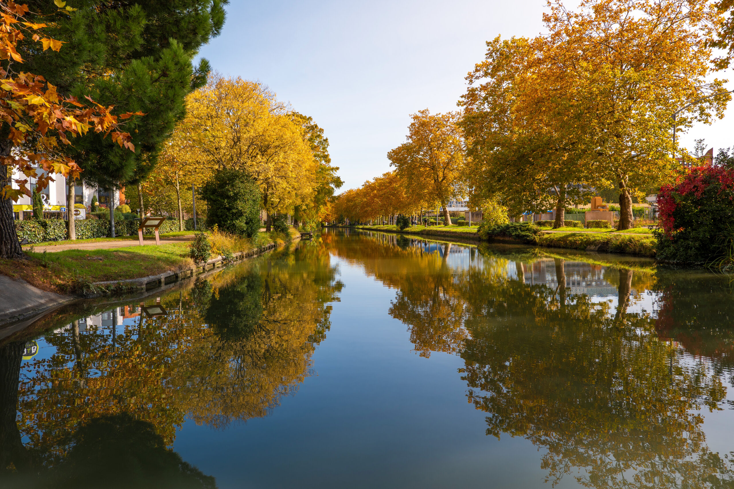 Épargne Occitanie: the canal du Midi replanting project selected by the Occitanie Region