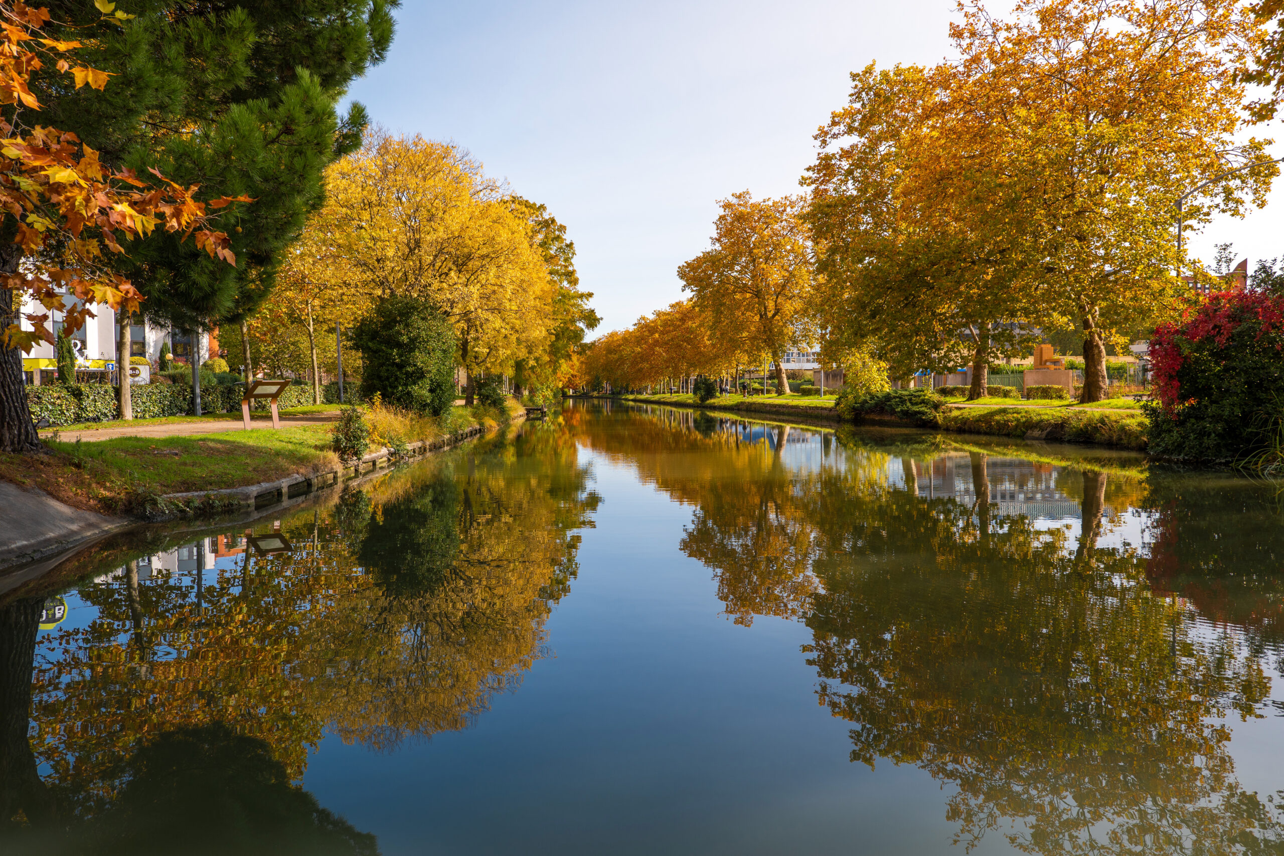 Épargne Occitanie: la replantación del canal du Midi seleccionada por la región de Occitania