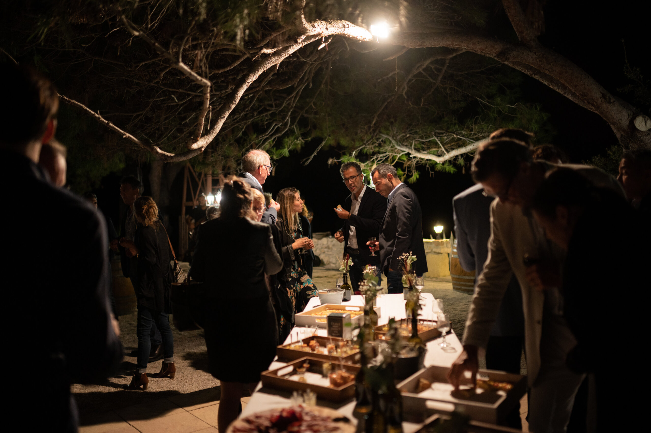 Evening event at Domaine de L’Ale in Capestang: replanting project review with the patrons of the canal du Midi