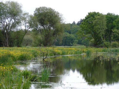 Fondation des pêcheurs